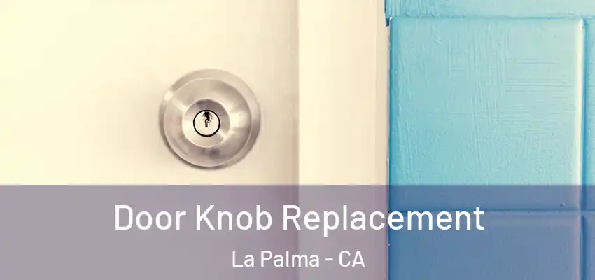  Door Knob Replacement La Palma - CA